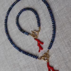 CORAL REEF SET (NEW)